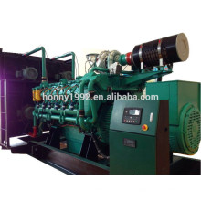 1250kVA Leroy Somer Alternador Generador de energía Gas Engine